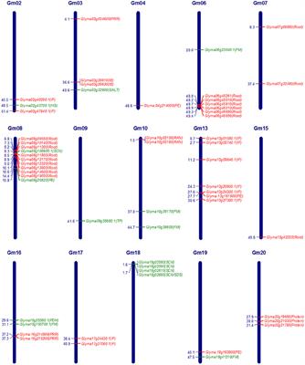 QTLomics in Soybean: A Way Forward for Translational Genomics and Breeding